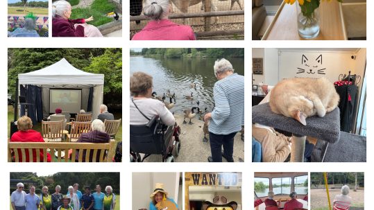 Care Homes in Ascot, Summer of fun activities 2025